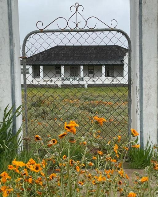Harry'S Place Guesthouse Kamieskroon Exterior foto
